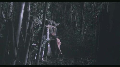 纵欲电影视频在线观看,一场视觉盛宴的在线观看之旅 第2张 纵欲电影视频在线观看,一场视觉盛宴的在线观看之旅 第2张