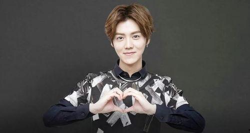 思聪爆料鹿晗视频大全最新,思聪爆料引发网友热议,精彩瞬间大盘点 第2张 思聪爆料鹿晗视频大全最新,思聪爆料引发网友热议,精彩瞬间大盘点 第2张